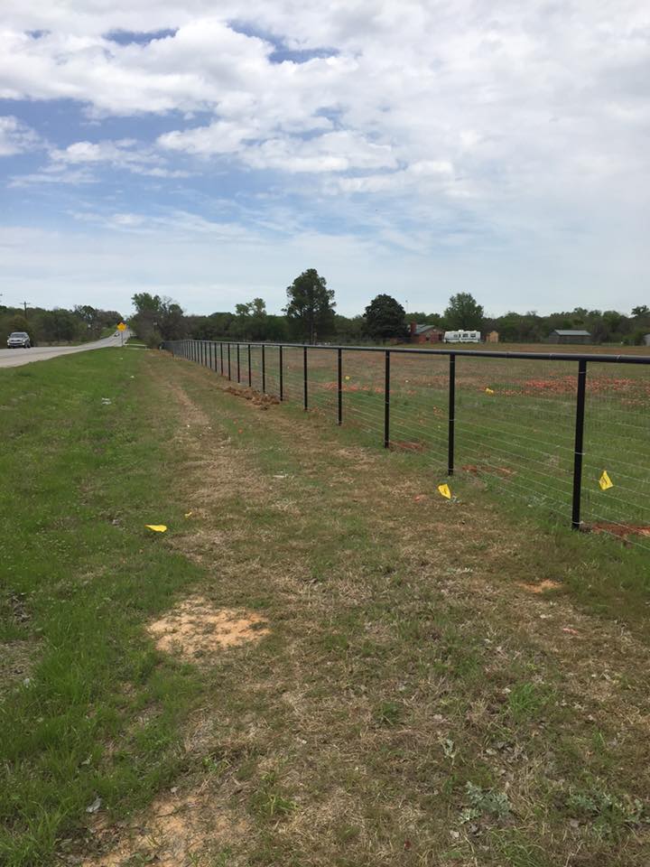 12924402_1706327282940584_5059205051663425023_n