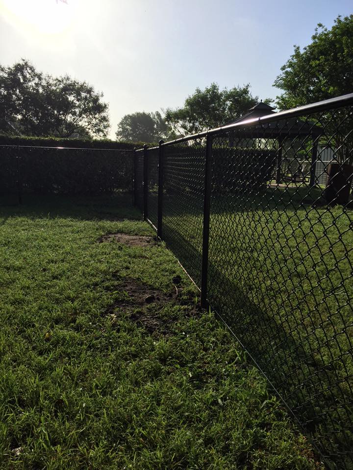 13077055_1715353678704611_8775087280708905099_n