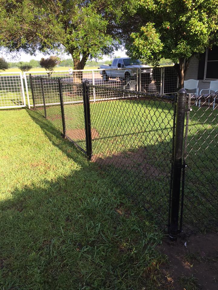 13087399_1715353722037940_1251394598828635020_n