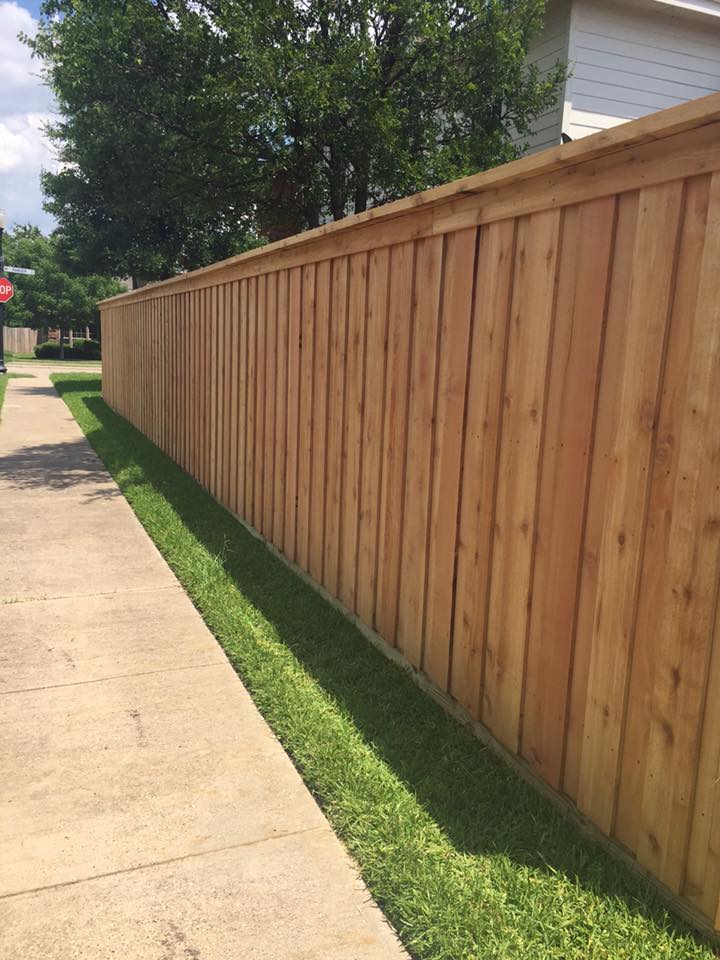 13344526_1732941840279128_4746236478226940935_n