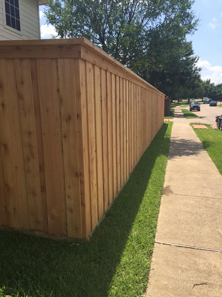 13413503_1732941816945797_5581398194180242660_n