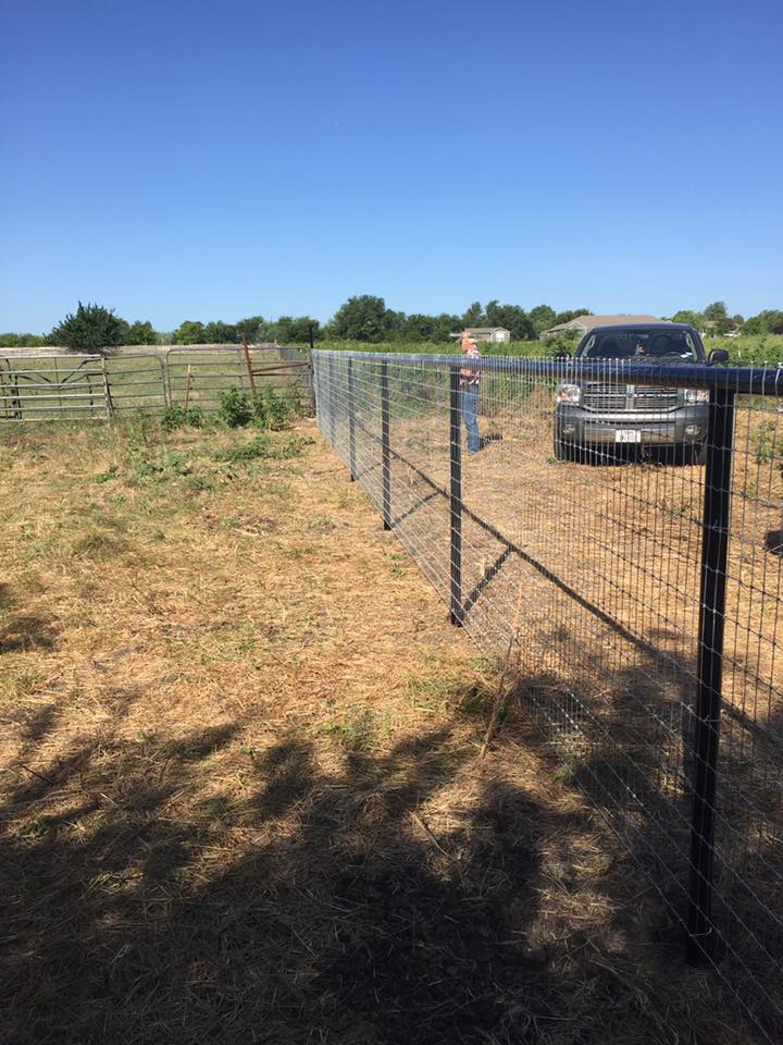 13654141_1745281522378493_6478680887448641488_n