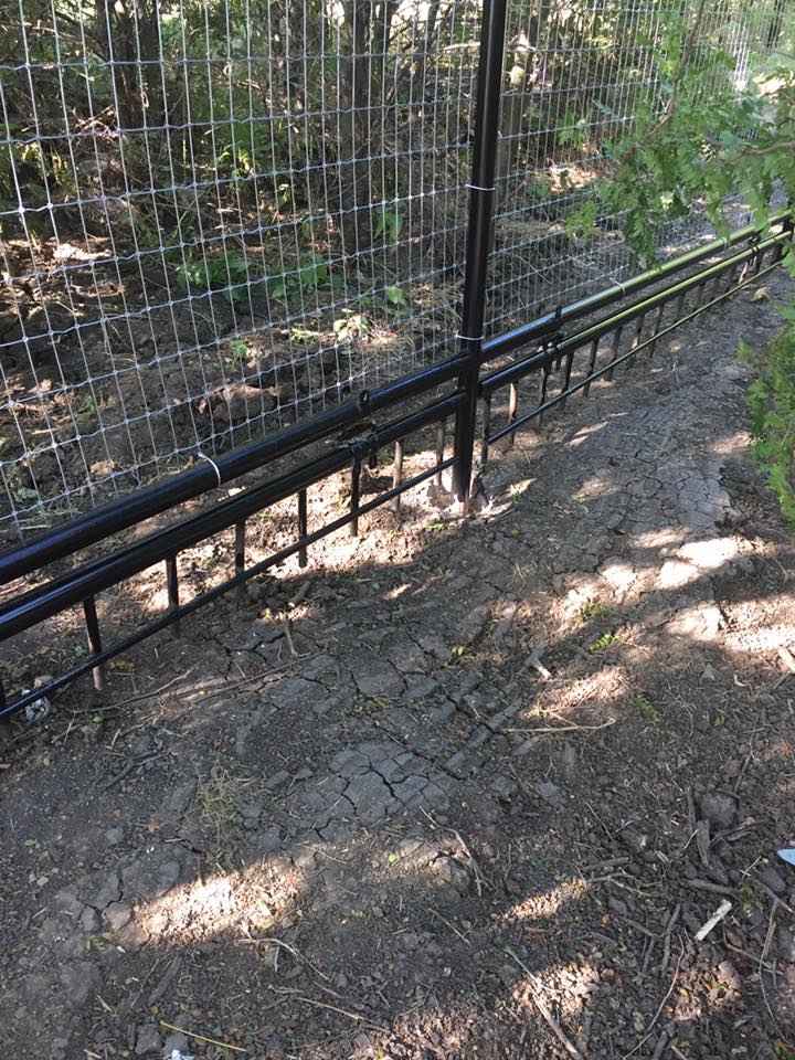 13686596_1745282065711772_2994260439471999919_n