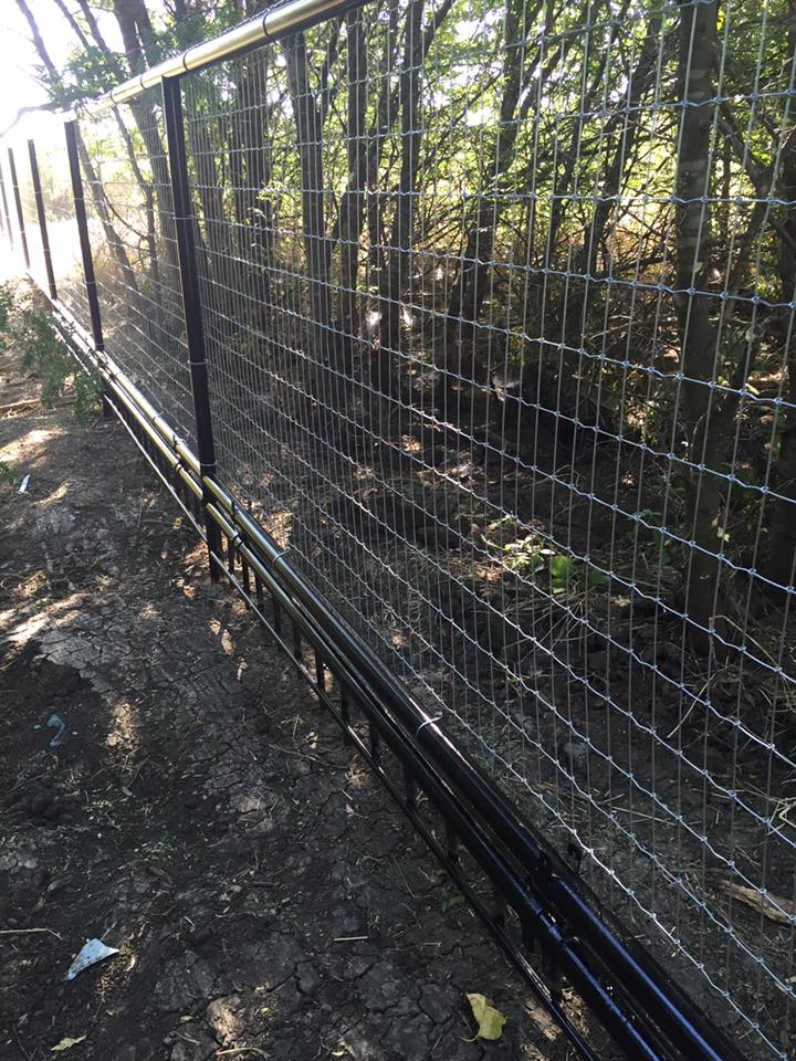 13718708_1745282069045105_7368810090728738935_n