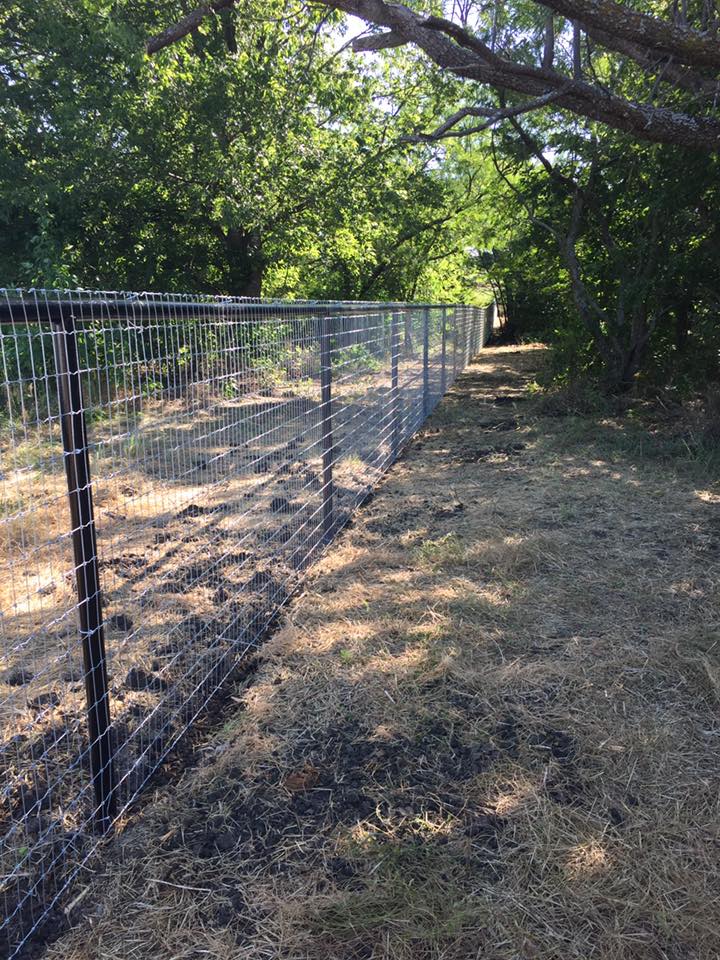 13726587_1745281952378450_4885122970835888763_n