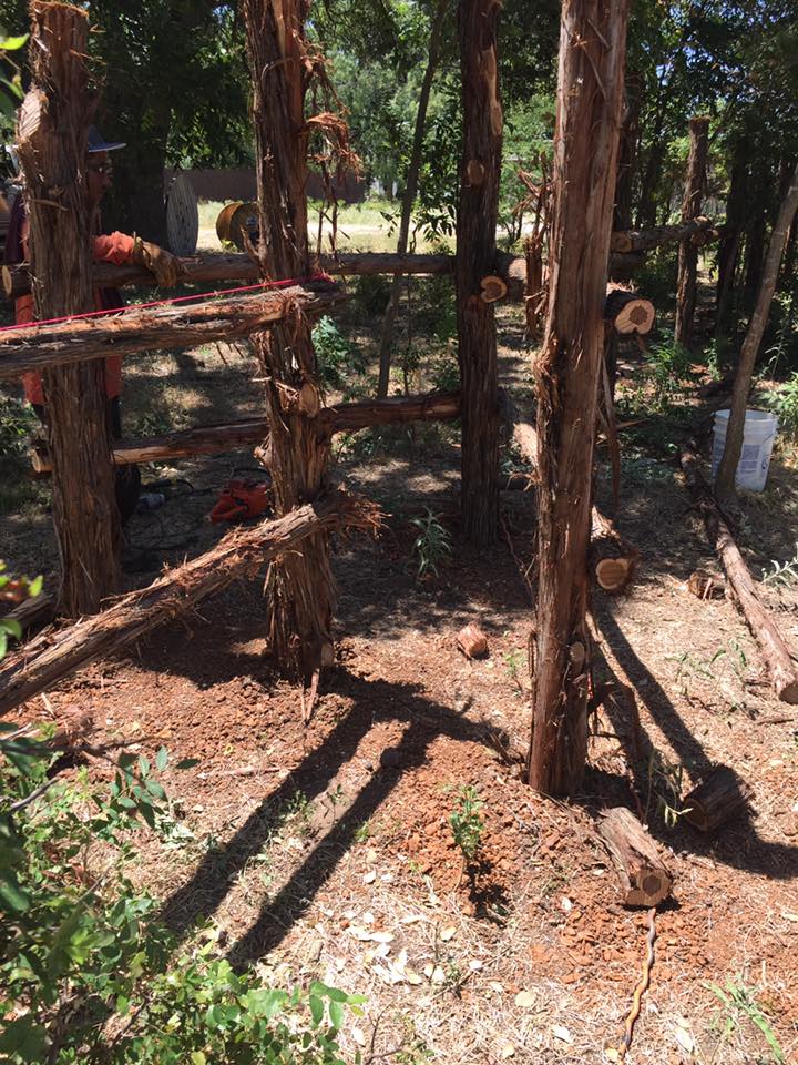 13873026_1752659708307341_5423004025209632616_n