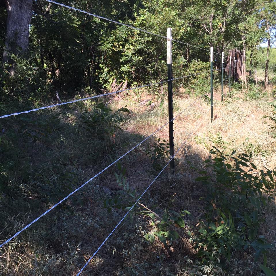 13903242_1753644731542172_8959970625093924298_n