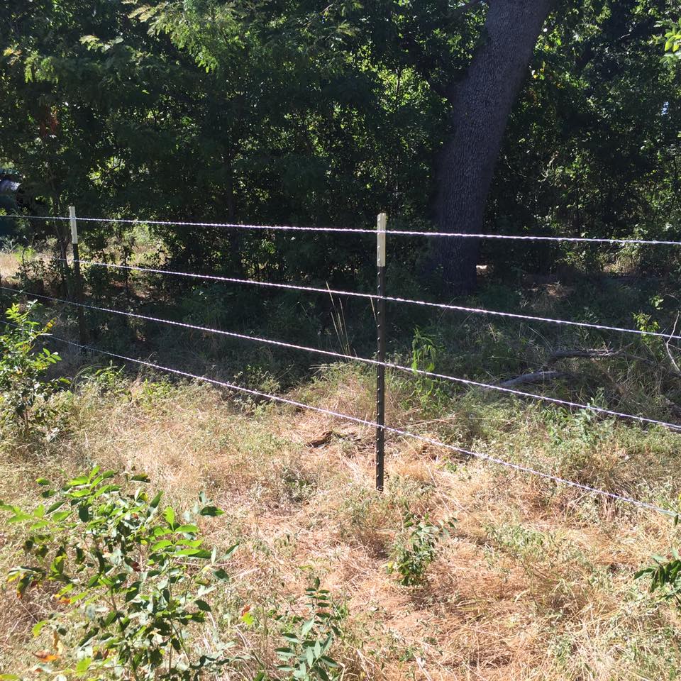 13934800_1753644758208836_3563401203724461066_n