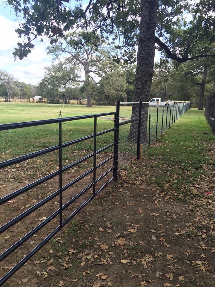 14650777_1787113764861935_2657814378839770237_n