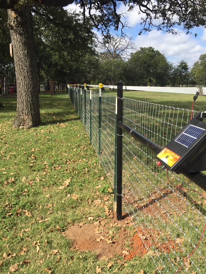 14718731_1787113511528627_8999009343616673475_n