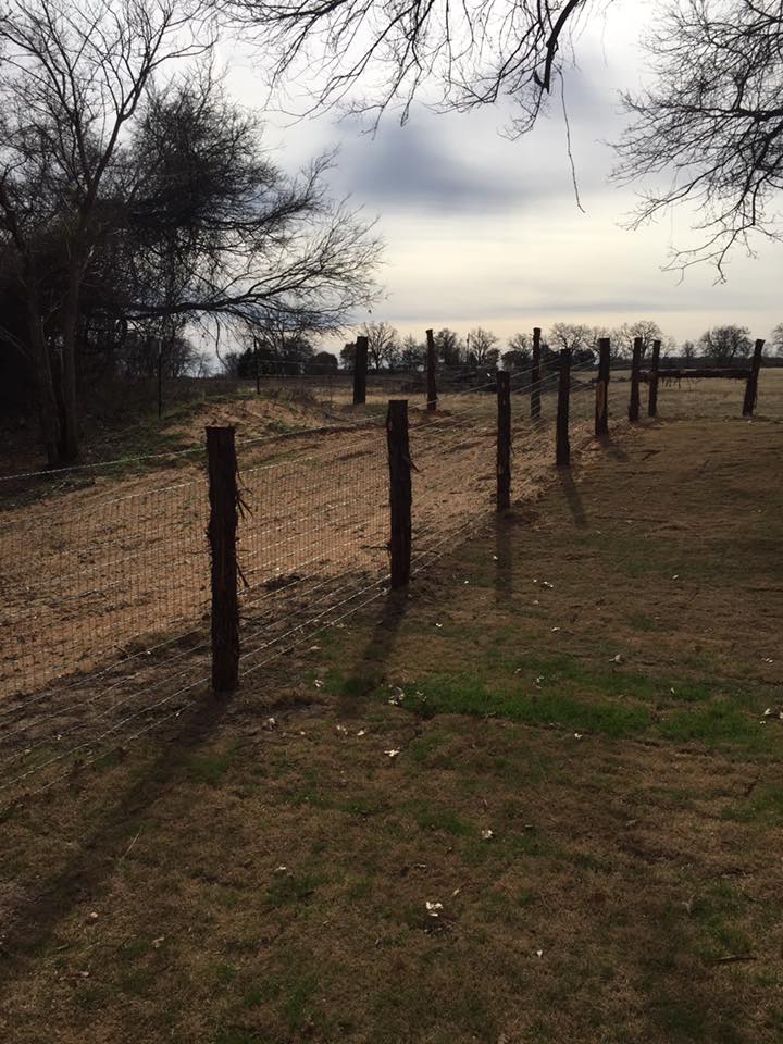 15697854_1819193164987328_4668538216520830962_n