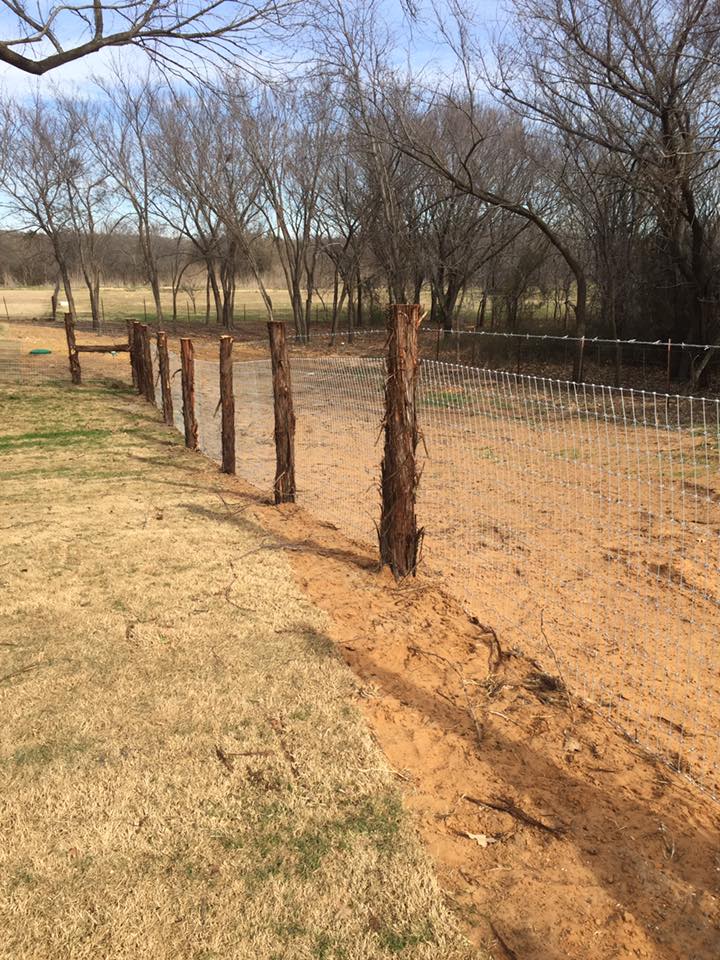 15741159_1819193098320668_70930173432896953_n