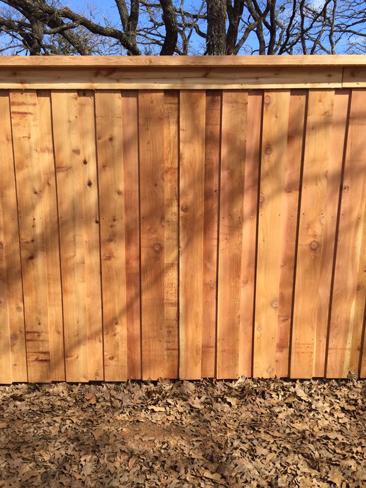 16807403_1841960419377269_4867723313078552864_n