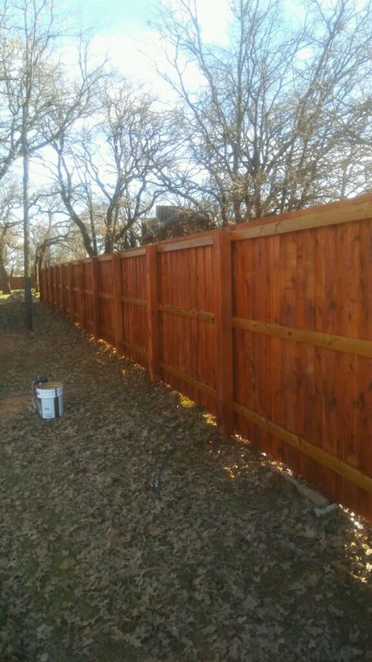 16864404_1841961329377178_5400309746173117310_n