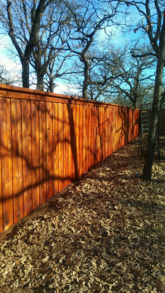 16864614_1841961326043845_7176912397668294446_n