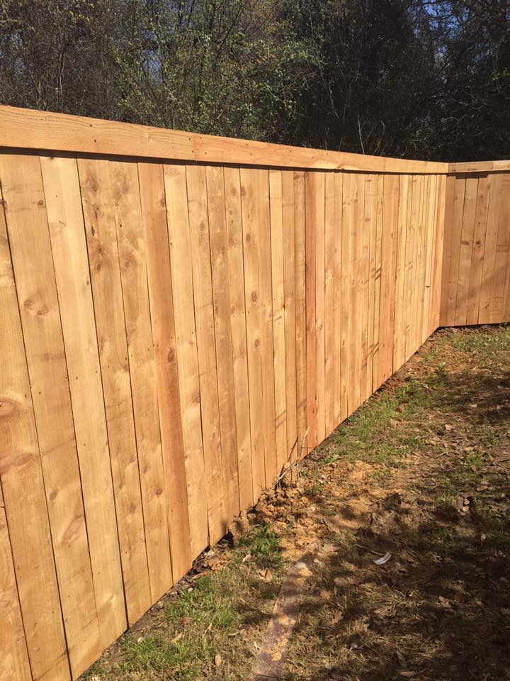 17362878_1855513204688657_7675265414419500810_n