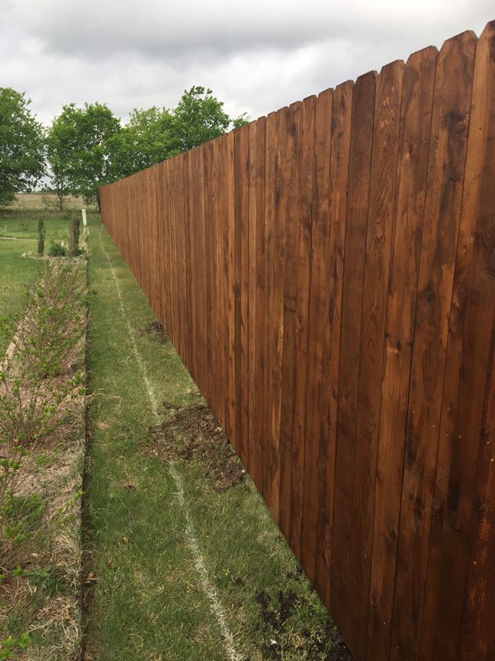 17626209_1860340730872571_677099344198370262_n