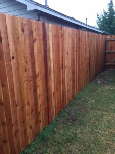 19247992_1901207336785910_7954614636451656724_n